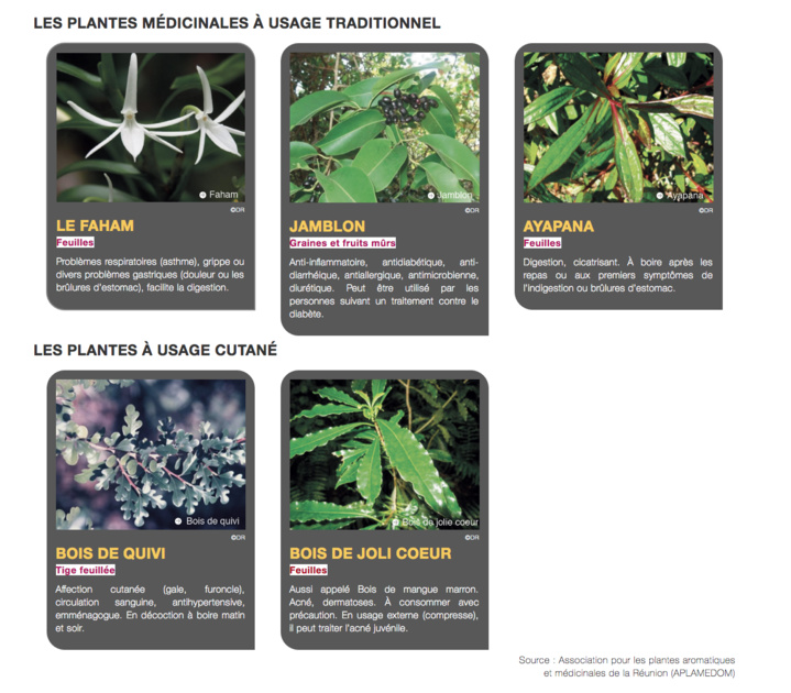 19 plantes locales à la Pharmacopée française