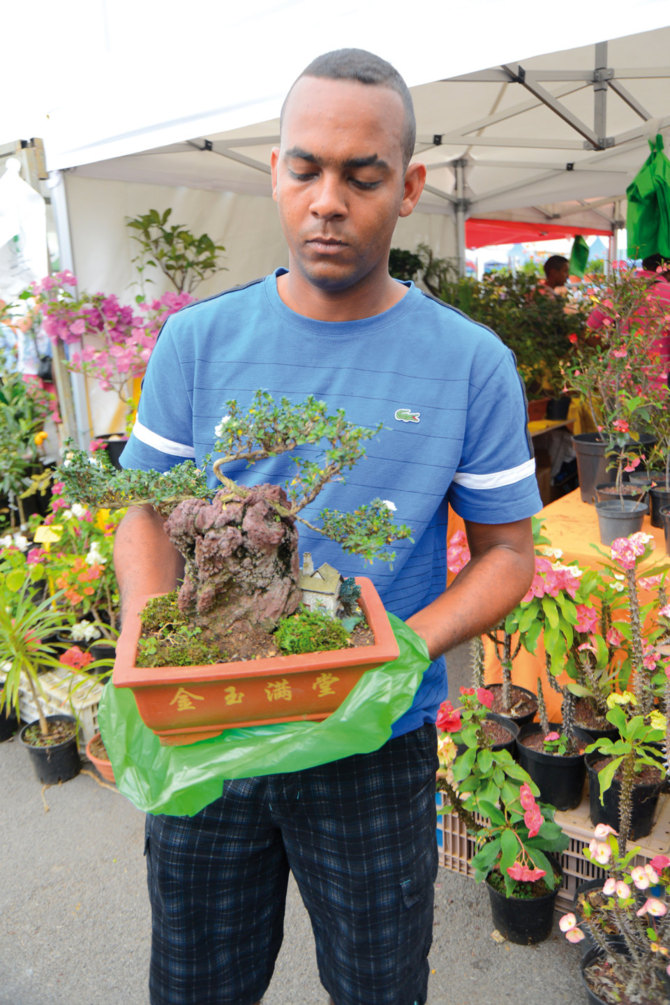 Flore et Halle 2012, Succès malgré tout