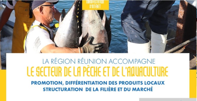 Appel à manifestation d'intérêt : La Région Réunion accompagne le secteur de la pêche et de l'aquaculture