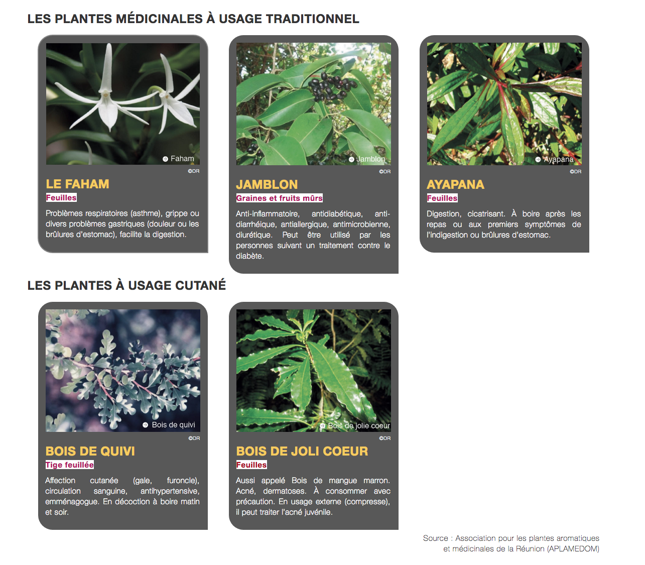 19 plantes locales à la Pharmacopée française