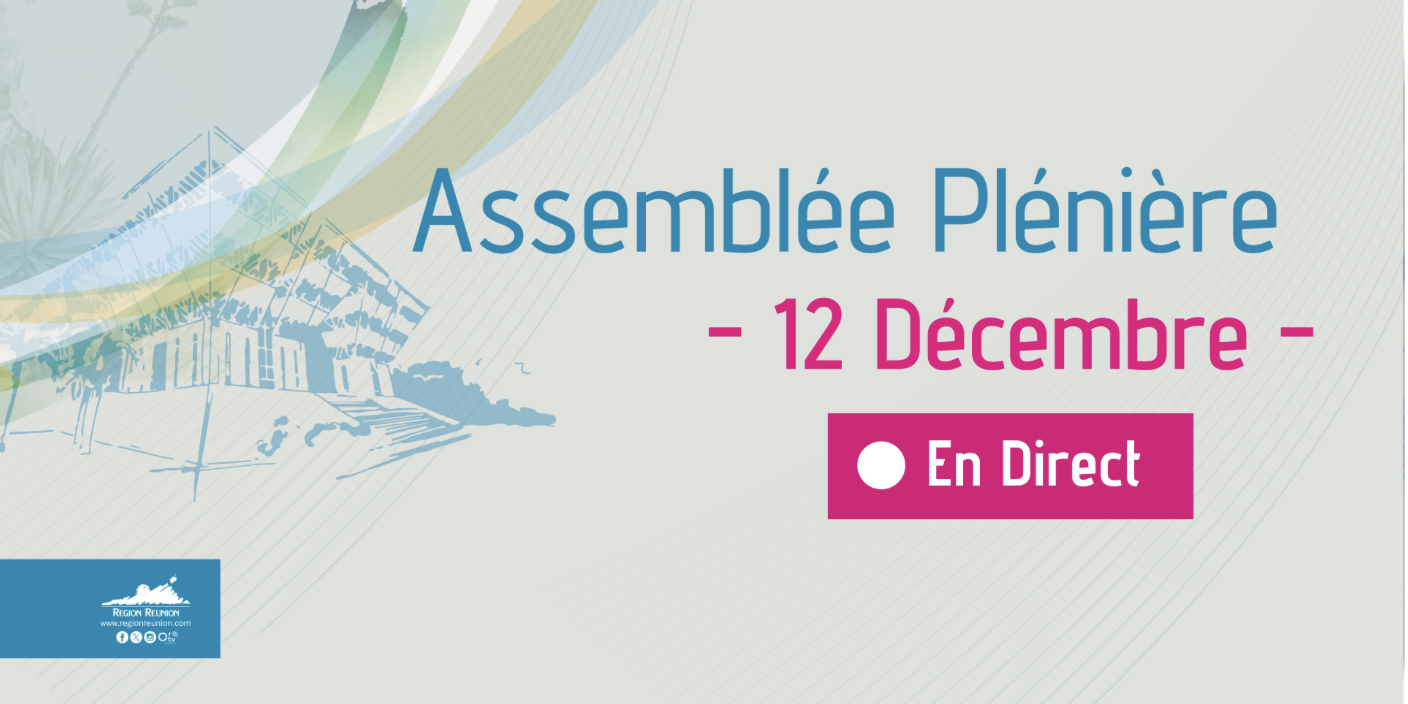 Assemblée Plénière du jeudi 12 décembre 2024