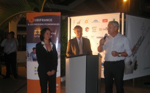 Grand prix Volontaire International en Entreprise