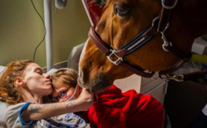 La bouleversante photo de la maman agonisante avec son cheval