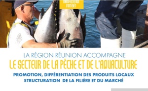 Appel à manifestation d'intérêt : La Région Réunion accompagne le secteur de la pêche et de l'aquaculture