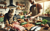 Comment bien nourrir son chat sans se ruiner ?